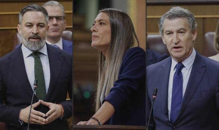 Abascal, Feijoo i Nogueras, al capdavant de la prohibició del burca i el nicab