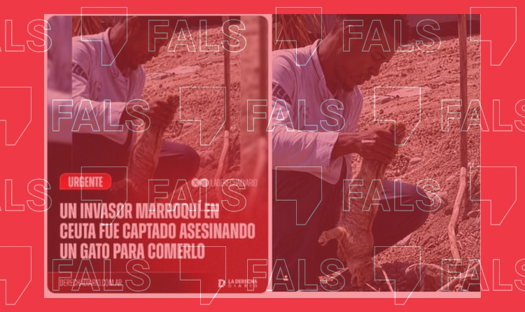 Imatges amb IA d'un immigrant marroquí amb un gat mort a Ceuta.